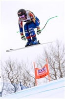 Stacey Cook Sweatshirt #3639178