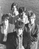 Status Quo mug #G798121