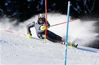 Stefano Gross mug #G2263165