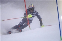 Stefano Gross mug #G2263178