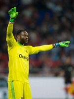 Steve Mandanda longsleeve t-shirt #3461726