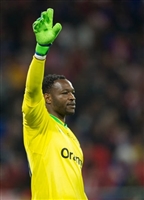 Steve Mandanda longsleeve t-shirt #3461756