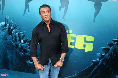Sylvester Stallone puzzle 3809036