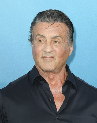 Sylvester Stallone puzzle 3809044