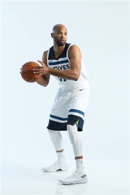 Taj Gibson Poster 3397366