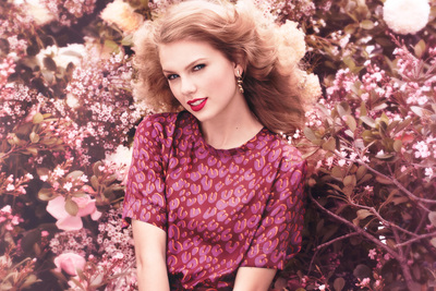 Taylor Swift Poster 3957895