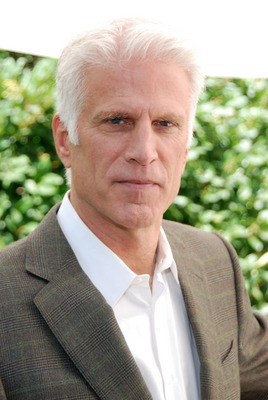 Ted Danson canvas poster