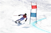 Ted Ligety Sweatshirt #3652302