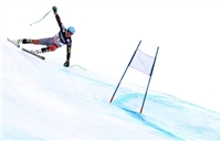 Ted Ligety Sweatshirt #3652312