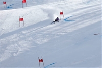 Ted Ligety hoodie #3652316