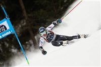Ted Ligety hoodie #3652318