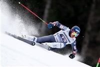 Ted Ligety t-shirt #3652343