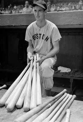 Ted Williams posters