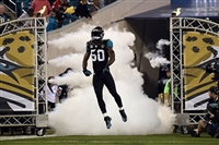 Telvin Smith magic mug #G1709247