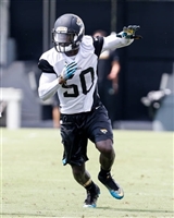 Telvin Smith magic mug #G1709248