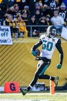 Telvin Smith mug #G1709254