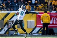 Telvin Smith mug #G1709257