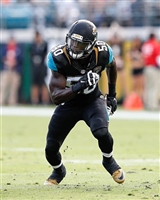 Telvin Smith mug #G1709289