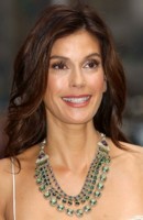 Teri Hatcher Sweatshirt #1442194