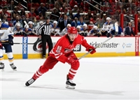 Teuvo Teravainen mug #G1791012