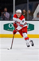 Teuvo Teravainen Longsleeve T-shirt #3548899