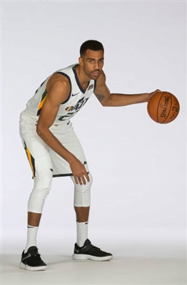 Thabo Sefolosha Poster 3444032