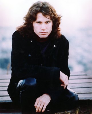 The Doors & Jim Morrison Poster 2524412