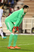 Thibaut Courtois longsleeve t-shirt #3356123