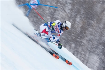 Thibaut Favrot posters