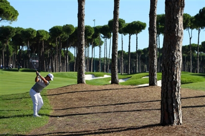 Thorbjorn Olesen posters