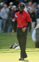 Tiger Woods mug #G316410