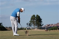 Tiger Woods Tank Top #3504652