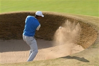 Tiger Woods Sweatshirt #3504662