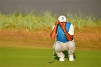 Tiger Woods hoodie #3504670