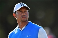 Tiger Woods longsleeve t-shirt #3504673