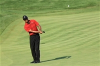 Tiger Woods longsleeve t-shirt #3504785