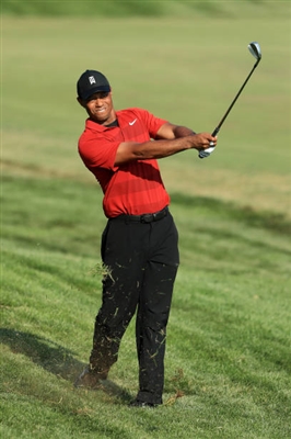Tiger Woods posters
