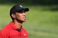 Tiger Woods hoodie #3504797