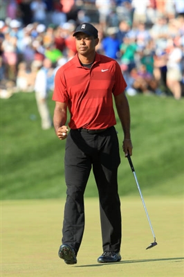 Tiger Woods posters