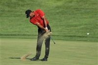 Tiger Woods mug #G1747042