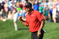 Tiger Woods longsleeve t-shirt #3504822