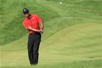 Tiger Woods longsleeve t-shirt #3504987