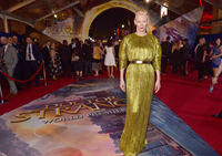 Tilda Swinton longsleeve t-shirt #3931382