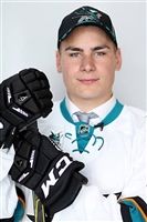 Timo Meier mug #G1813469