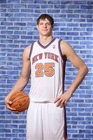 Timofey Mozgov hoodie #3428244