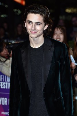Timothee Chalamet canvas poster