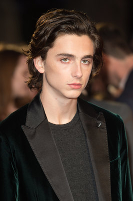 Timothee Chalamet puzzle 2814813