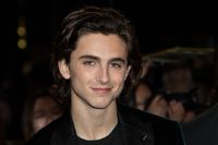 Timothee Chalamet magic mug #G1056920