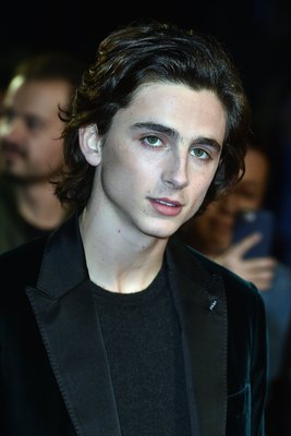 Timothee Chalamet stickers 2814827