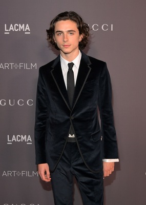 Timothee Chalamet puzzle 2881983